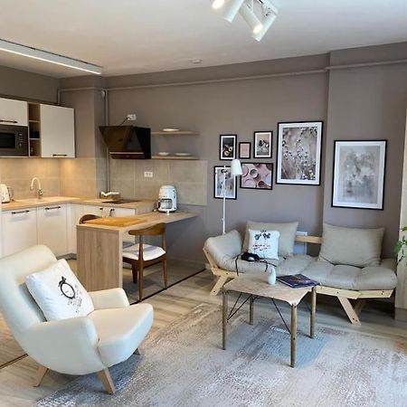 Shi Ti Junior Suite Iasi Extérieur photo