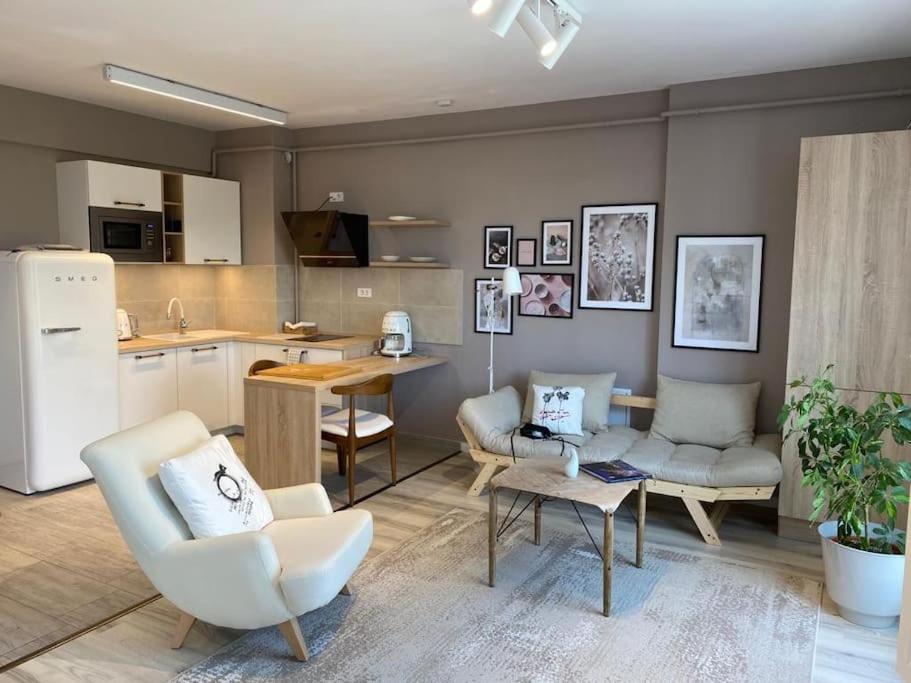 Shi Ti Junior Suite Iasi Extérieur photo